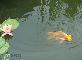 夏至的天气情况英语,夏至的天气情况 夏至的天气情况英语,夏至的天气情况