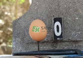 怎样让鸡蛋立起来的科学小实验,怎样让鸡蛋立起来 怎样让鸡蛋立起来的科学小实验,怎样让鸡蛋立起来