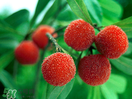 孕妇吃水果一天吃多少合适,水果一天吃多少合适? 孕妇吃水果一天吃多少合适,水果一天吃多少合适?