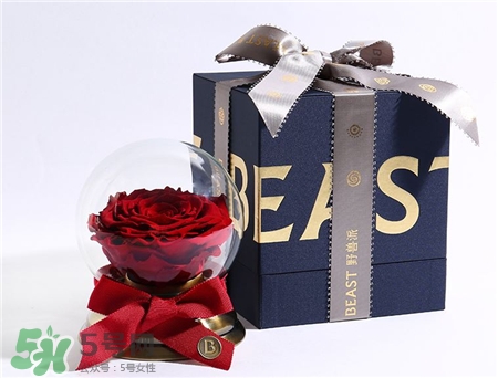 野兽派永生花怎么样,野兽派 永生花