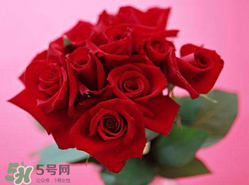最好看的玫瑰花,玫瑰花推荐 最好看的玫瑰花,玫瑰花推荐