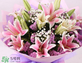 百合花多少钱一束呀,百合花现在卖多少钱一支