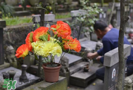 扫墓带什么东西,扫墓带什么东西可以辟邪 扫墓带什么东西,扫墓带什么东西可以辟邪