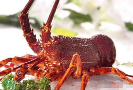 如何养殖小龙虾,小龙虾在北方能不能养殖