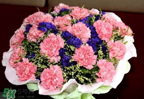 母亲节送男朋友妈妈什么礼物合适,母亲节送男朋友妈妈什么礼物好?