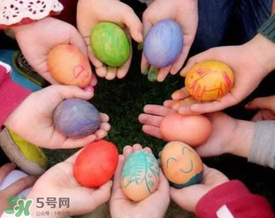 幼儿园护蛋器怎么做,护蛋器怎么做