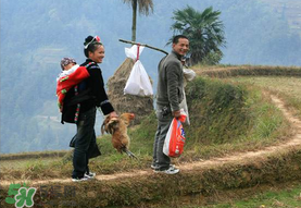 回娘家带什么东西好,回娘家带点什么东西好