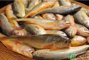 大黄鱼怎么做好吃呢?,小黄鱼怎么做好吃 大黄鱼怎么做好吃呢?,小黄鱼怎么做好吃