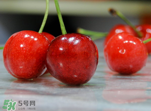 樱桃果的作用和功能,吃樱桃的好处有哪些坏处 樱桃果的作用和功能,吃樱桃的好处有哪些坏处