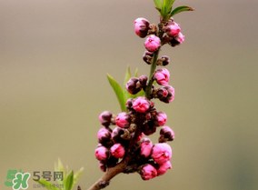 谷雨都会下雨吗,雨水和谷雨 谷雨都会下雨吗,雨水和谷雨
