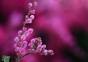 四月份天气会冷吗,四月天气一般还冷吗