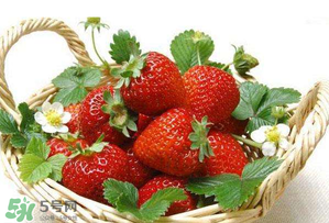 草莓的特点怎么描述,草莓的特点是什么