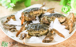 螃蟹养殖条件,螃蟹养殖几月份放蟹苗