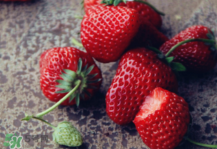 冬天什么水果最好卖,苹果什么时候吃最好早上还是晚上 冬天什么水果最好卖,苹果什么时候吃最好早上还是晚上