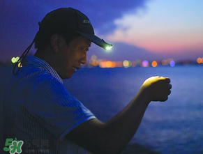 春季钓鱼的技巧和方法,春分钓鱼技巧