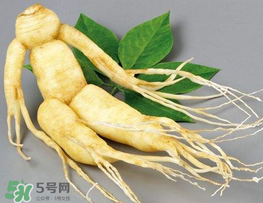 高丽参的食用方法,高丽参食用方法,用量