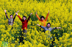 四月份哪里看油菜花,去哪里看油菜花