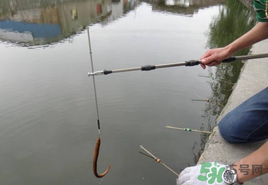 钓鱼基本用具,钓鱼根据什么准备不同的用具