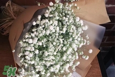 只有清明节可以扫墓吗,清明不去扫墓会怎样