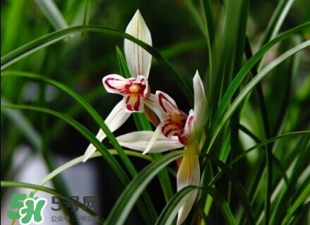 场所的选择防溺水,场所的选择多怎么概括用个词