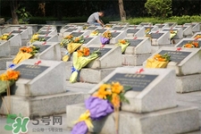 寒食节可以上坟吗,寒食节可以提前上坟吗