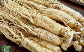 人参怎么服用效果好,人参怎么吃最好?