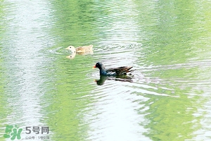初夏养生注意事项,秋季养生注意事项