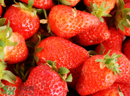 如何分辨激素草莓,草莓怎么看有没有打激素 如何分辨激素草莓,草莓怎么看有没有打激素