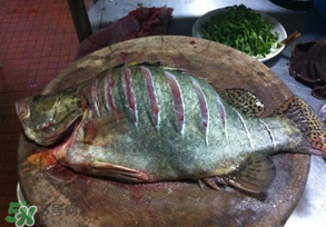 桂鱼怎么做好吃又简单家常的,桂鱼怎么做好吃 红烧