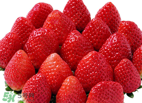 草莓是哪个月份的水果,草莓是几月份的时令水果