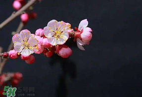 春分节气的天气特点,春分时节的气象特点 春分节气的天气特点,春分时节的气象特点