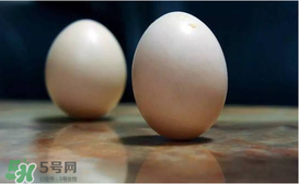 春分竖蛋的玩法,竖蛋--春分 春分竖蛋的玩法,竖蛋--春分