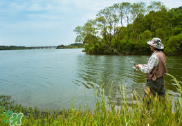 惊蛰好钓鱼吗,初冬什么天气好钓鱼