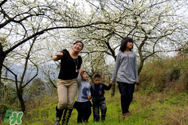 惊蛰穿什么衣服适合,惊蛰穿什么衣服