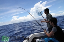 三月份好钓鱼吗,三月份能钓鱼吗