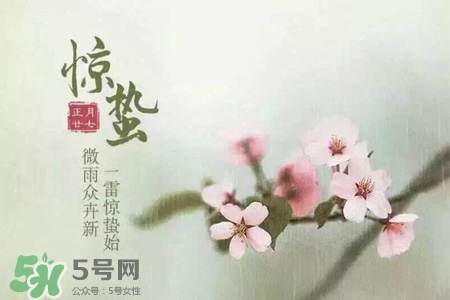 惊蜇是第几个节气,惊蛰是哪个季节的节气