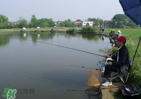 秋冬季钓鱼钓腥还是香,冬季钓鱼用腥还是香