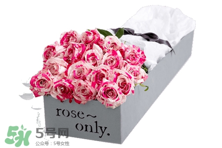 roseonly玫瑰花,roseonly价格表