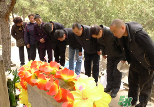 上坟的讲究,上坟另一种说法 上坟的讲究,上坟另一种说法