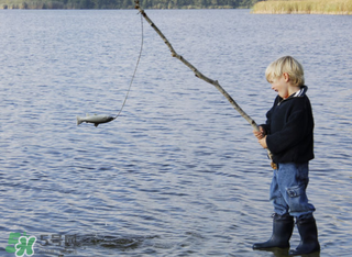 立春钓鱼用什么饵料,立春钓鱼用什么饵料好