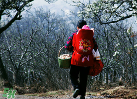 立春为什么不能回娘家?,立冬为什么不能回娘家