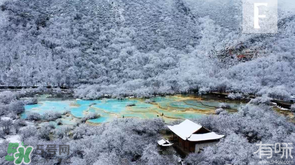 2022年春节去哪里旅游好,过年旅游去哪里比较好国内