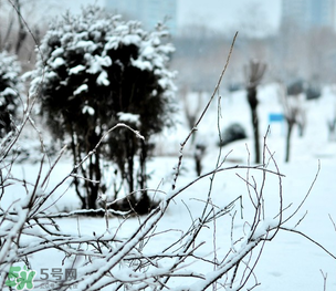 小寒为什么最冷,小寒是不是最冷 小寒为什么最冷,小寒是不是最冷