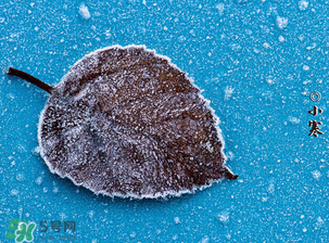 一九二九时间表,二九时间表