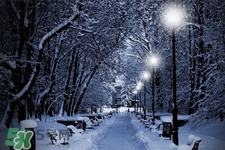 今年过年会下雨吗,今年过年下雨吗 今年过年会下雨吗,今年过年下雨吗