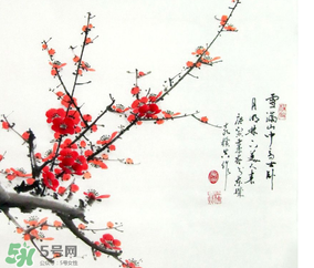 数九冷多少天,数九有多少天冷天 数九冷多少天,数九有多少天冷天