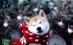 冷空气的分类,冷空气的定义