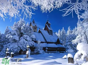 下雪吃什么好,大雪吃什么好呢