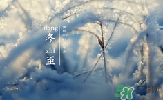 冬至可以过生日吗?,冬至这天过生日好不好