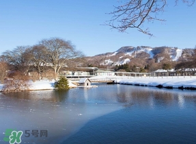 冬至为什么要上坟烧纸,冬至为什么要上坟